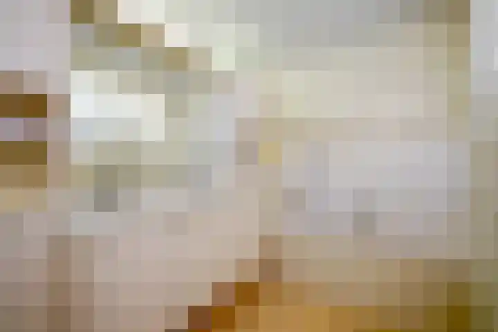 Domeinweg 6 Hilversum thumbnail 17