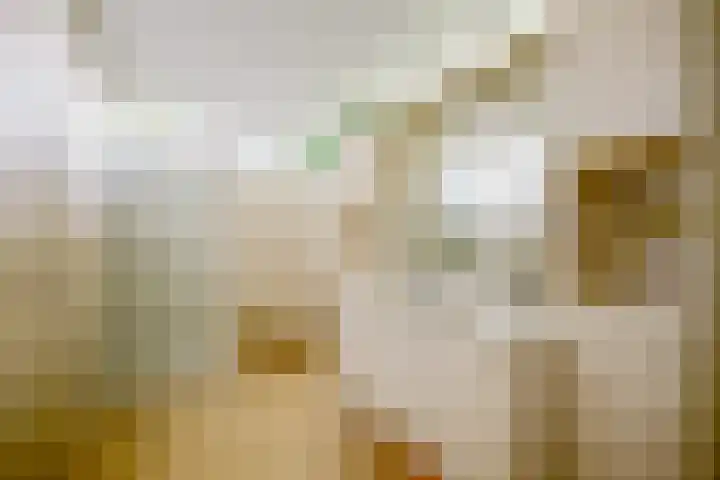 Domeinweg 6 Hilversum thumbnail 18