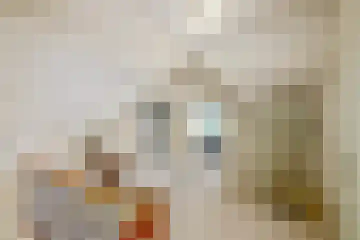 Domeinweg 6 Hilversum thumbnail 21