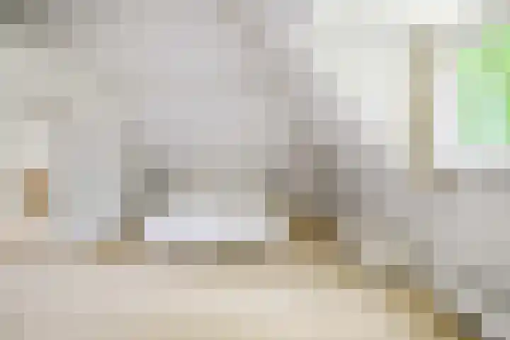 Domeinweg 6 Hilversum thumbnail 31