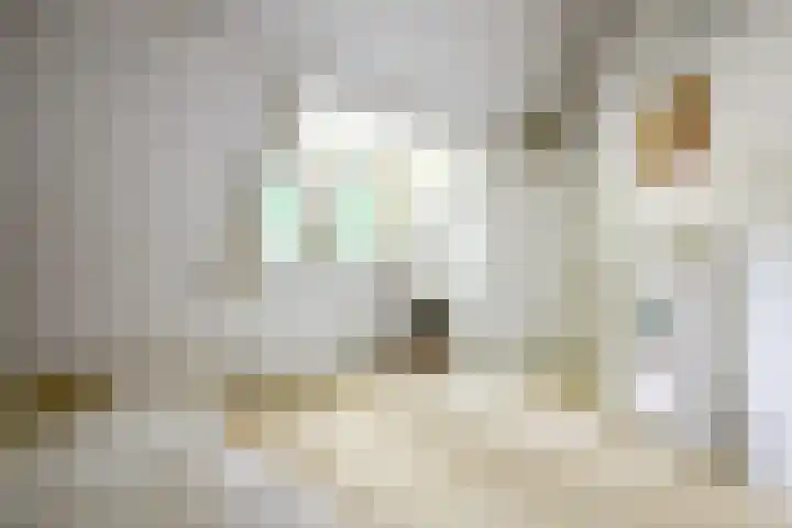Domeinweg 6 Hilversum thumbnail 32