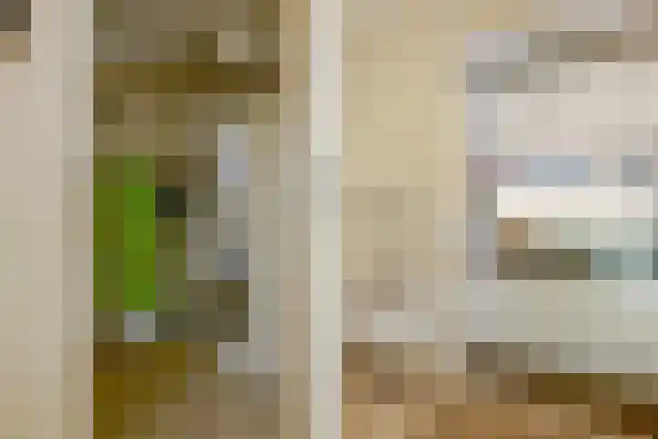 Domeinweg 6 Hilversum thumbnail 34