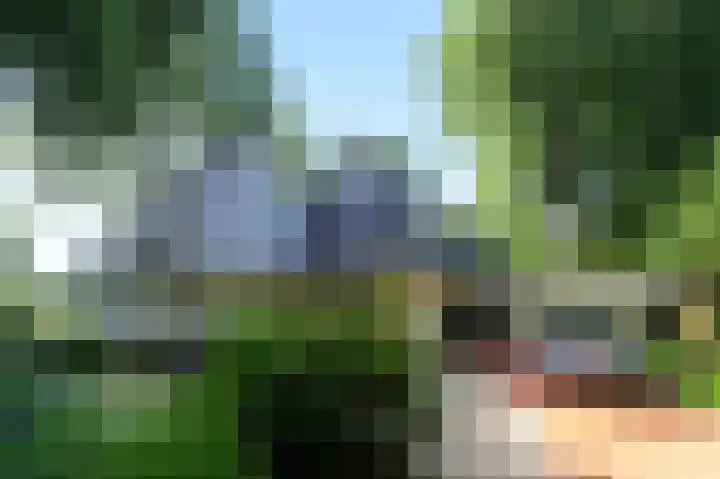Domeinweg 6 Hilversum thumbnail 39