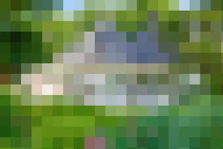 Domeinweg 6 Hilversum thumbnail 40