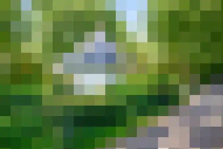 Domeinweg 6 Hilversum thumbnail 41