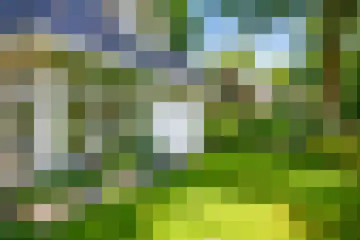Domeinweg 6 Hilversum thumbnail 42