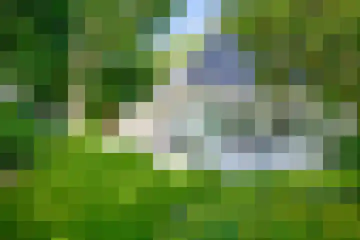 Domeinweg 6 Hilversum thumbnail 44