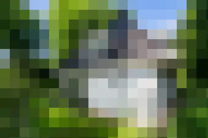 Domeinweg 6 Hilversum thumbnail 46