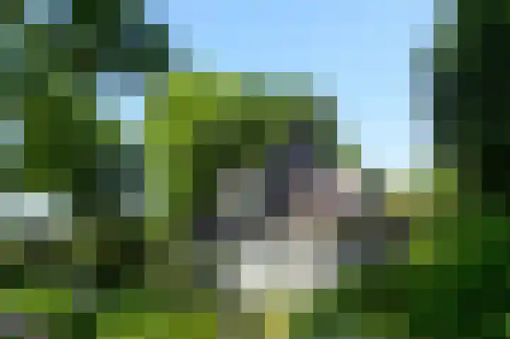 Domeinweg 6 Hilversum thumbnail 49