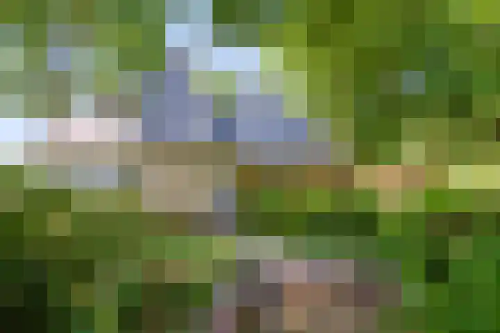 Domeinweg 6 Hilversum thumbnail 50