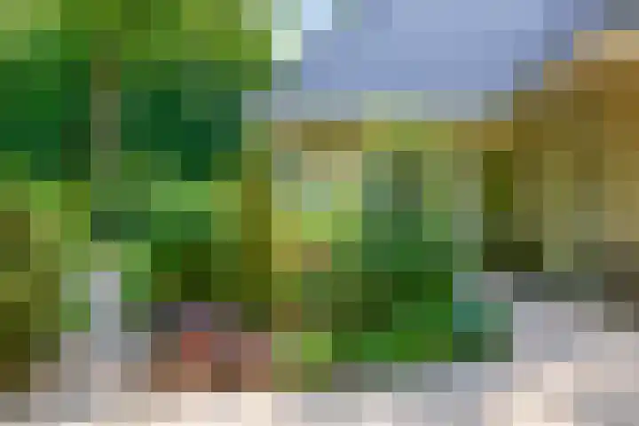 Domeinweg 6 Hilversum thumbnail 51