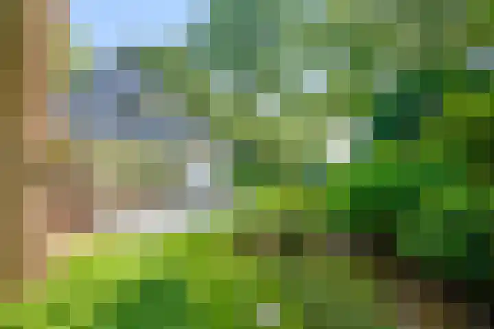 Domeinweg 6 Hilversum thumbnail 52