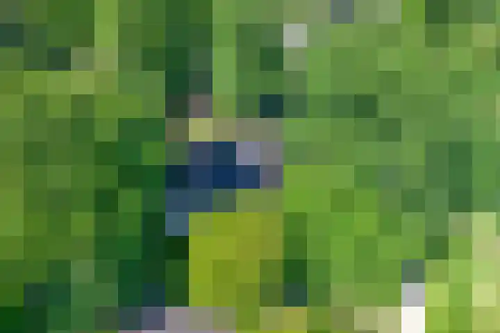Domeinweg 6 Hilversum thumbnail 53