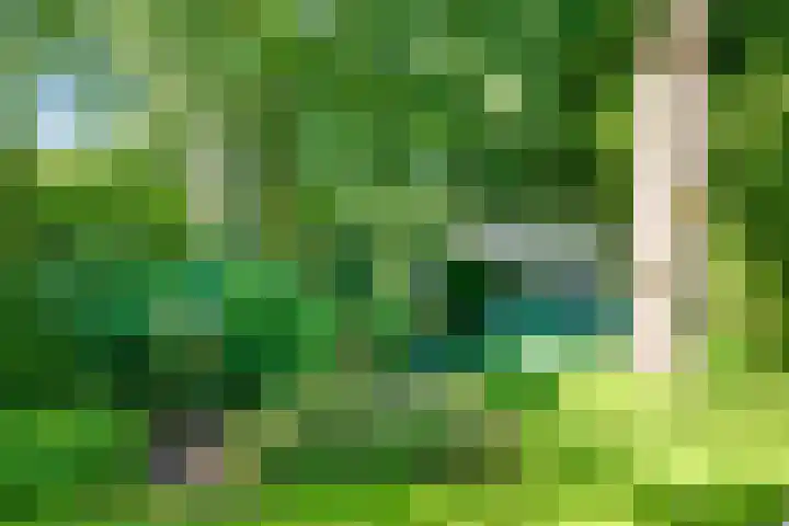 Domeinweg 6 Hilversum thumbnail 54