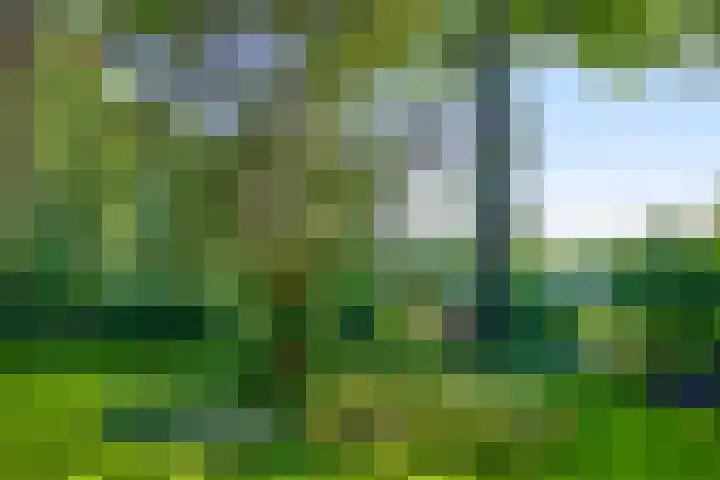 Domeinweg 6 Hilversum thumbnail 55
