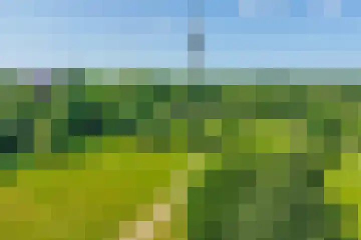Domeinweg 6 Hilversum thumbnail 57