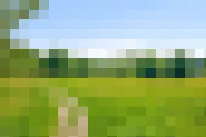 Domeinweg 6 Hilversum thumbnail 58