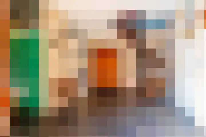 Domela Nieuwenhuislaan 20 Groningen thumbnail 15