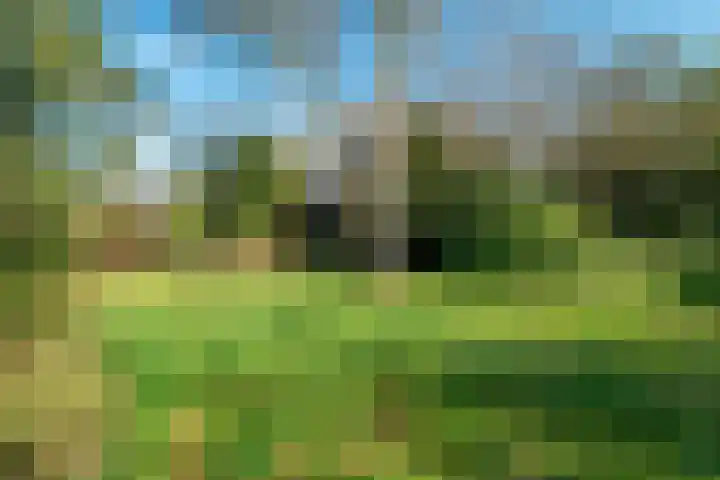 Domela Nieuwenhuislaan 20 Groningen thumbnail 5