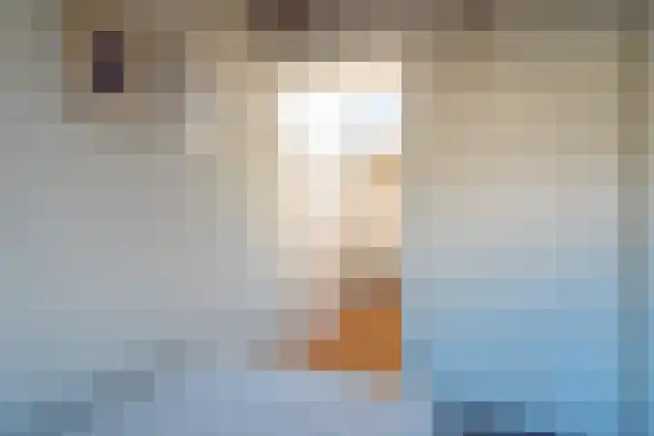 Domela Nieuwenhuislaan 20 Groningen thumbnail 54