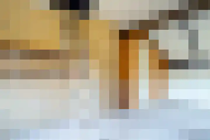 Domela Nieuwenhuislaan 20 Groningen thumbnail 68