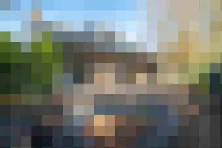 Domela Nieuwenhuislaan 20 Groningen thumbnail 69