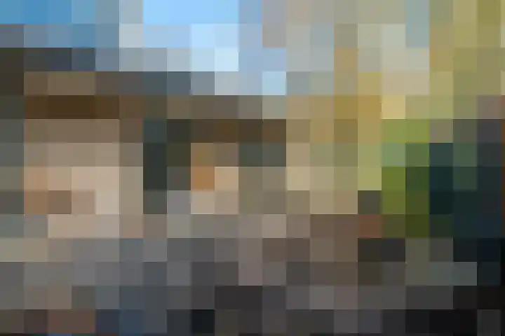 Domela Nieuwenhuislaan 20 Groningen thumbnail 71