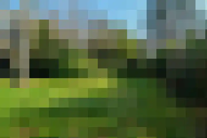 Domela Nieuwenhuislaan 20 Groningen thumbnail 73