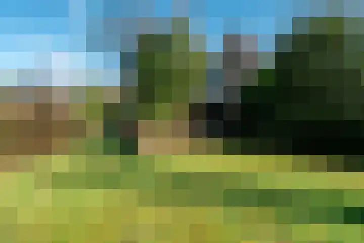 Domela Nieuwenhuislaan 20 Groningen thumbnail 75