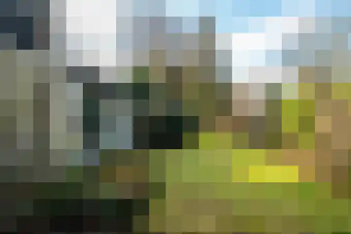 Domela Nieuwenhuislaan 20 Groningen thumbnail 77