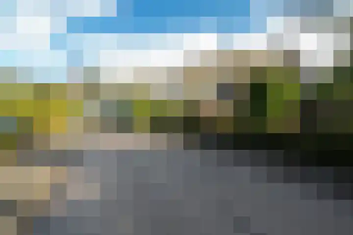 Domela Nieuwenhuislaan 20 Groningen thumbnail 8