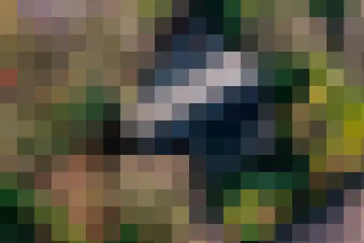 Domela Nieuwenhuislaan 20 Groningen thumbnail 82