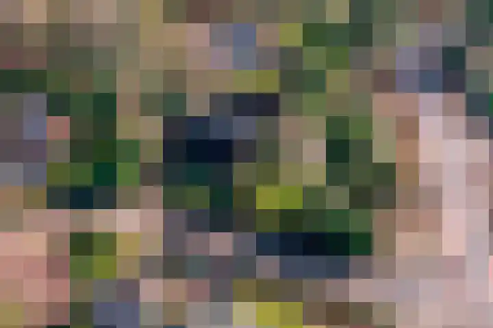 Domela Nieuwenhuislaan 20 Groningen thumbnail 83