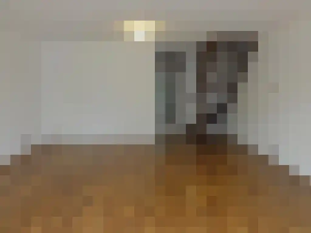 Domela Nieuwenhuislaan 5 Leiden thumbnail 4