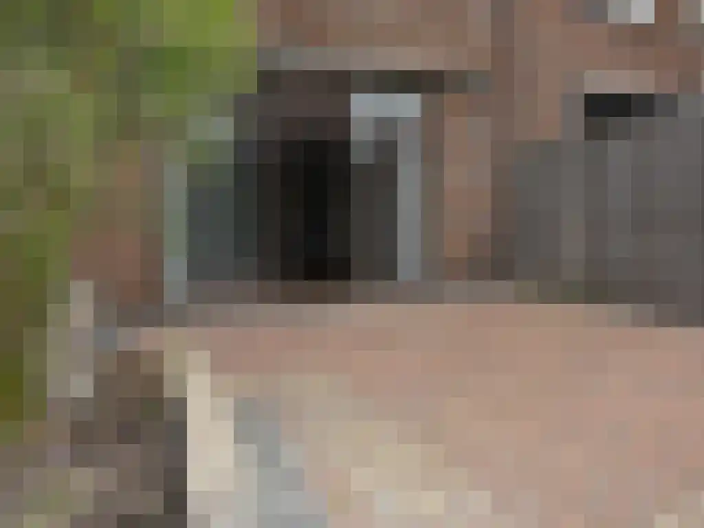 Domela Nieuwenhuislaan 5 Leiden thumbnail 6