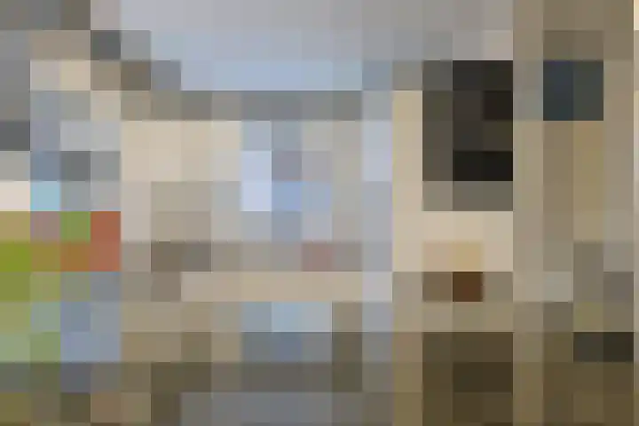 Domela Nieuwenhuislaan 9 Leiden thumbnail 16