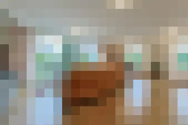 Domela Nieuwenhuislaan 9 Leiden thumbnail 20
