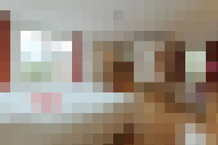 Domela Nieuwenhuislaan 9 Leiden thumbnail 21
