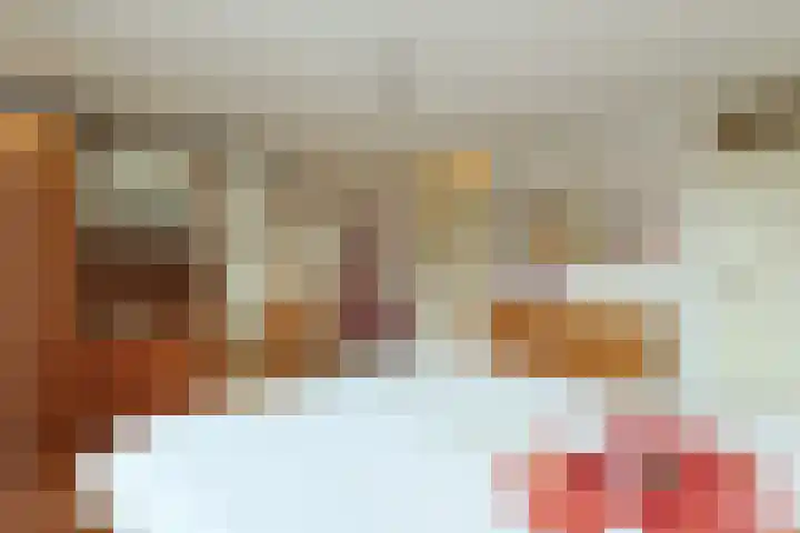 Domela Nieuwenhuislaan 9 Leiden thumbnail 22