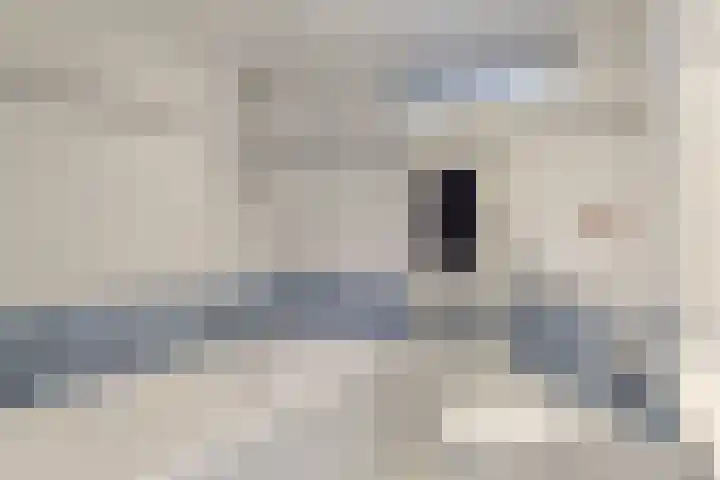 Domela Nieuwenhuislaan 9 Leiden thumbnail 24