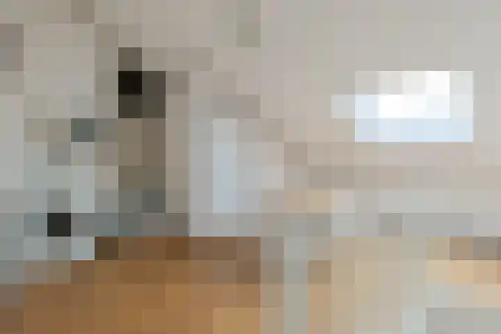 Domela Nieuwenhuislaan 9 Leiden thumbnail 35