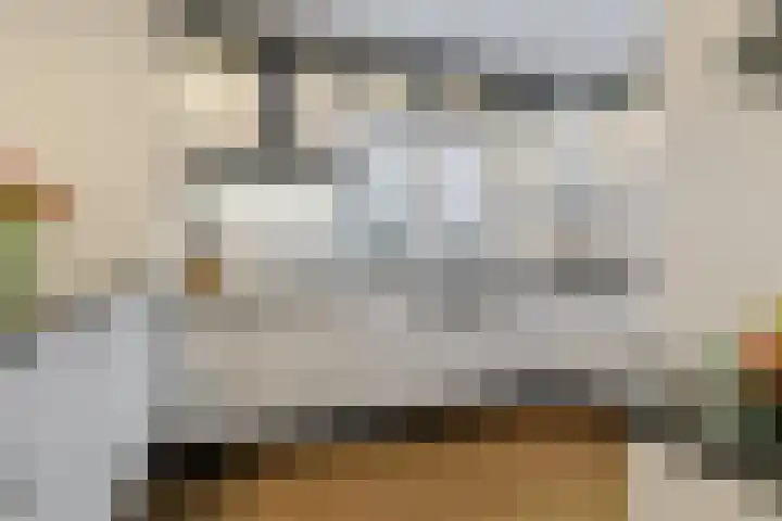 Domela Nieuwenhuislaan 9 Leiden thumbnail 4