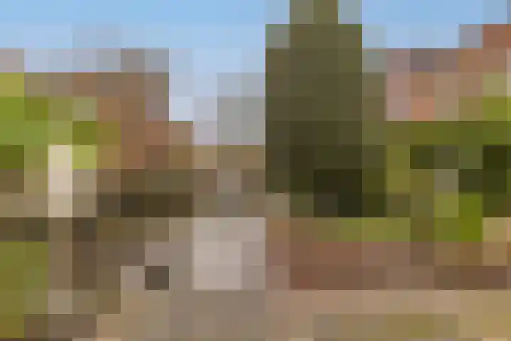 Domela Nieuwenhuislaan 9 Leiden thumbnail 43