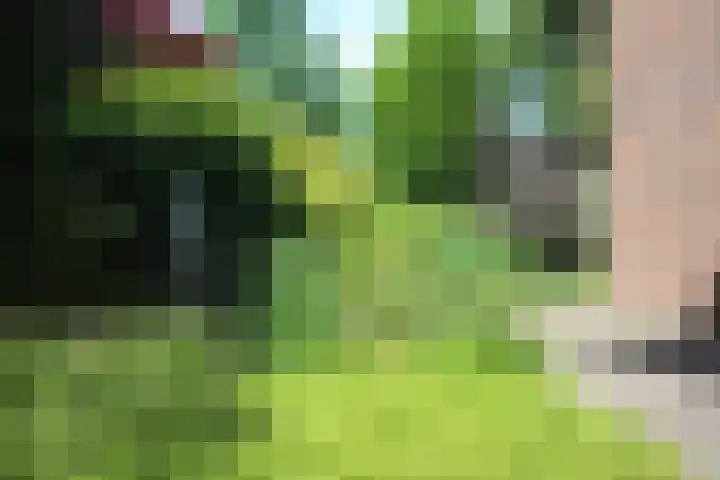 Domela Nieuwenhuislaan 9 Leiden thumbnail 47