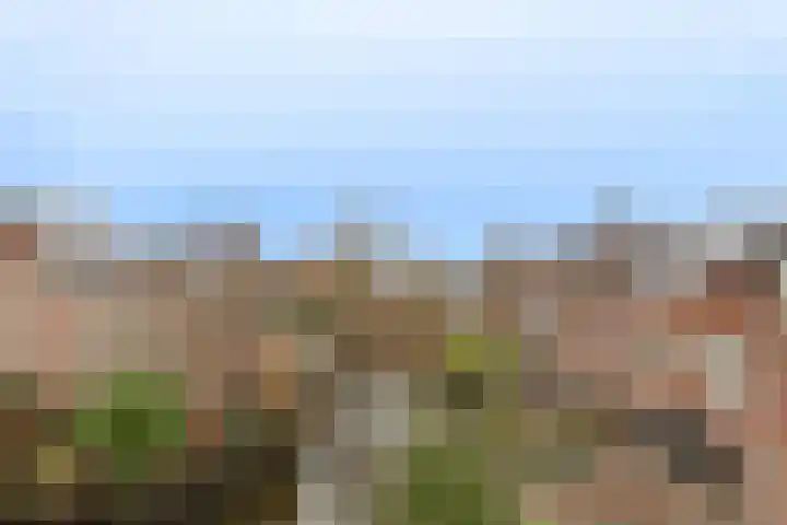 Domela Nieuwenhuislaan 9 Leiden thumbnail 8