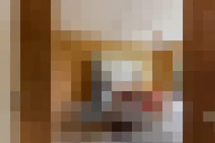 Domela Nieuwenhuisstraat 14 Papendrecht thumbnail 7