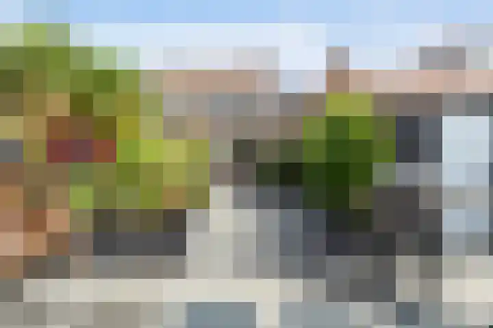 Domela Nieuwenhuisstraat 17 in Gouda