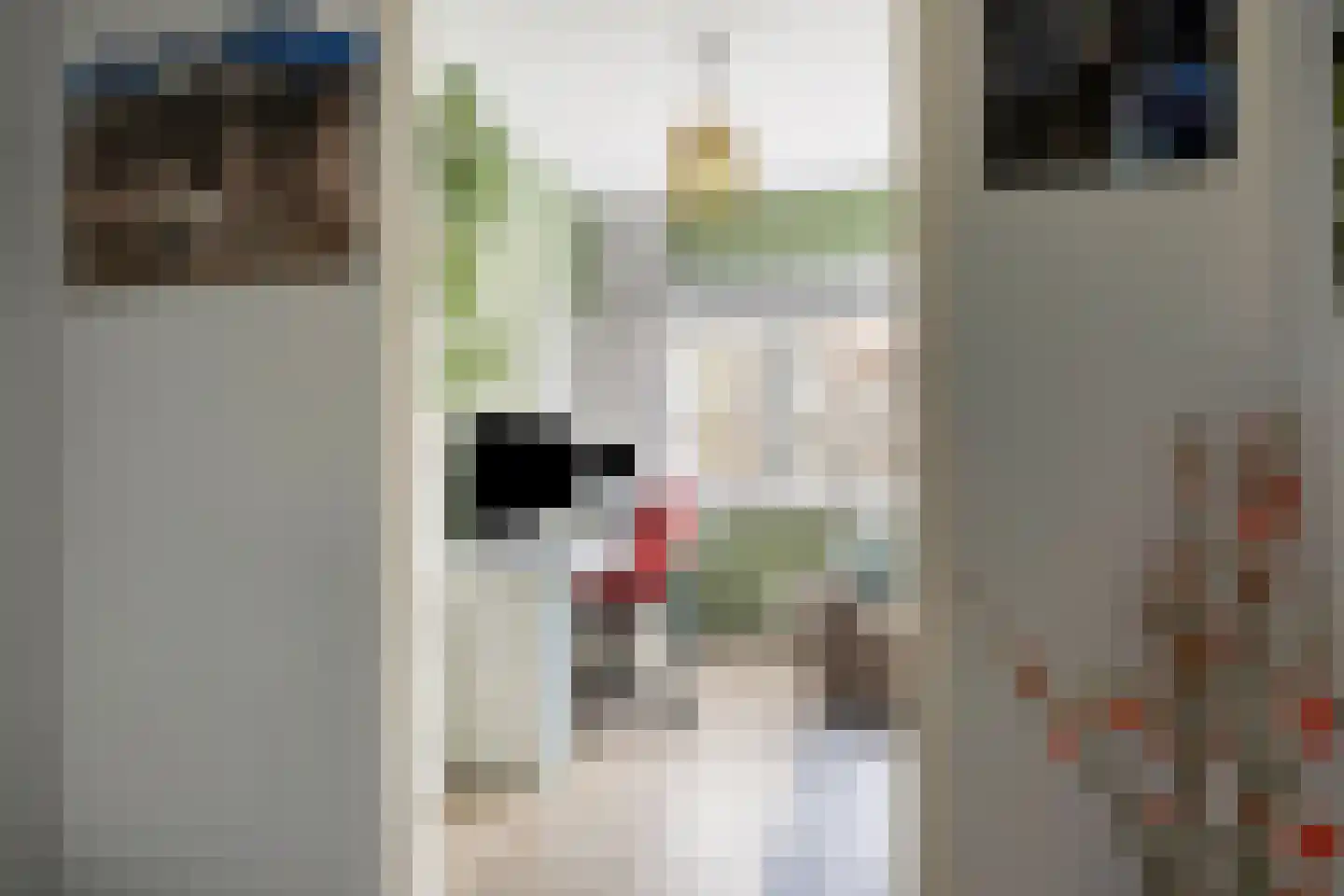 Domela Nieuwenhuisstraat 21 Amsterdam thumbnail 47