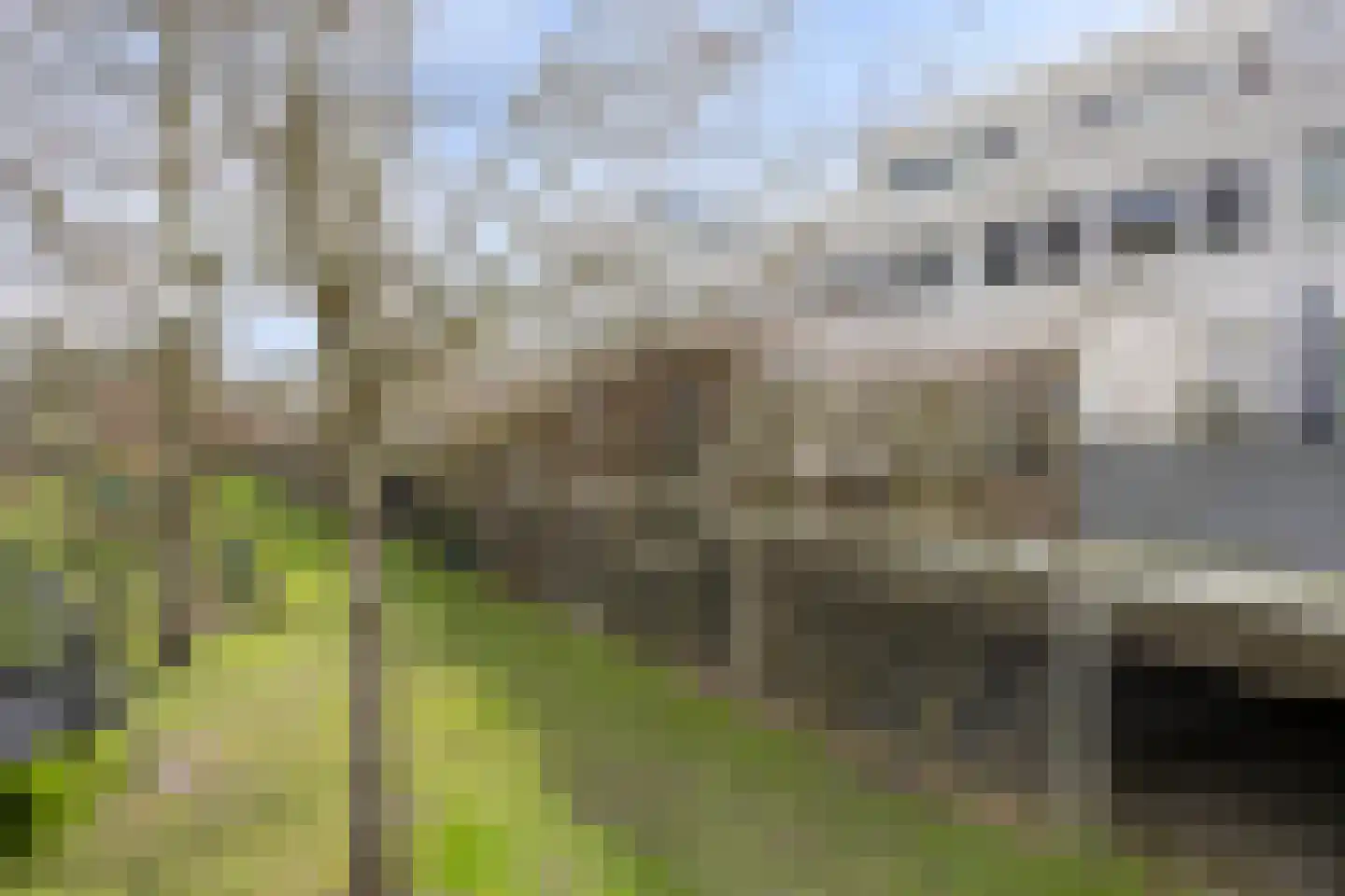 Domela Nieuwenhuisstraat 21 Amsterdam thumbnail 7
