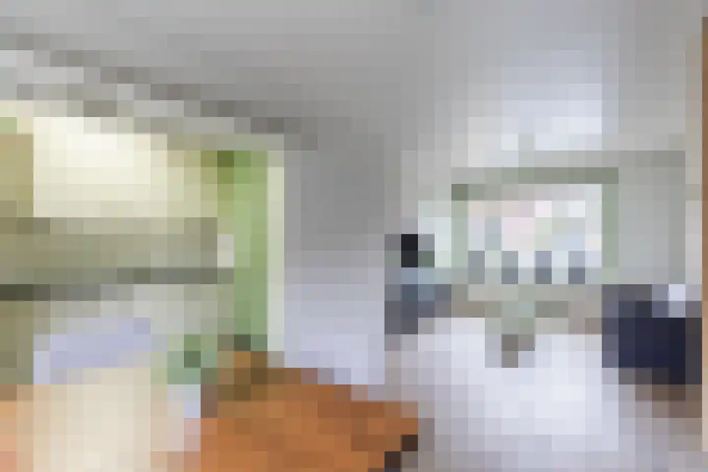 Domela Nieuwenhuisstraat 30 Zaandijk thumbnail 12